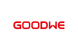 logo2 - Pin lưu trữ Goodwe SECU-A 48V 100Ah