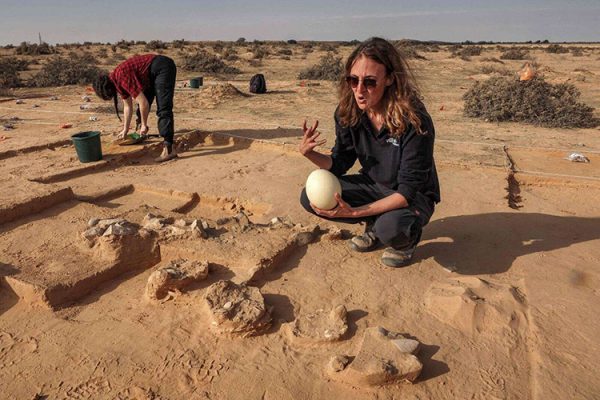trung da dieu 9223 1673579043 600x400 - Tìm thấy trứng đà điểu hơn 4.000 năm trên sa mạc