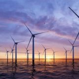 Trang trại gió ảnh hưởng đến sinh vật biển thế nào?